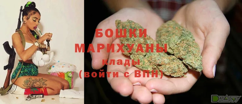 Шишки марихуана VHQ  omg   Кингисепп 